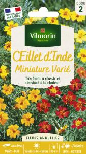 Œillet d'Inde Miniature Varié